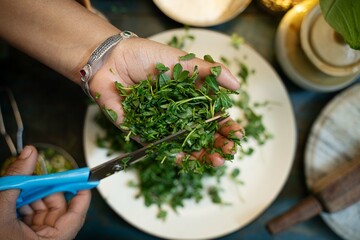 Woman cutting fresh green coriander in white table, Woman cutting fresh green cilantro, top view, A woman in a kitchen is cutting up coriander by hand with scissors.
