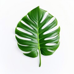 Fototapeta na wymiar green leaf isolated on white background Created with generative Ai 