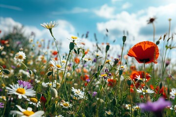Obraz premium A lush field of various wildflowers against a bright blue sky backdrop.