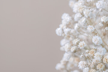 Romantic lovely beige neutral color of small flowers with light background and place for text on the left macro
