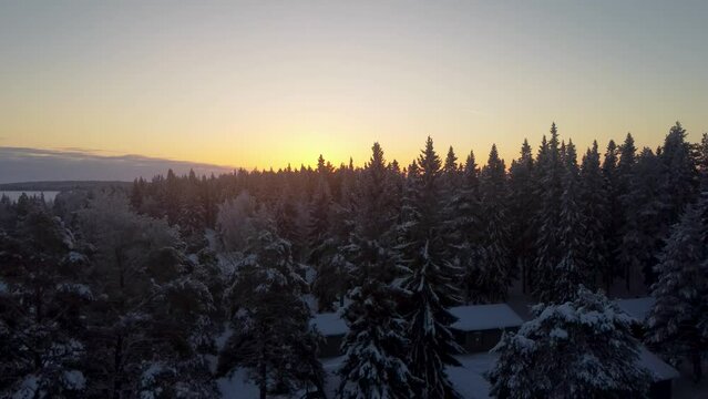 Winter sunrise over forest