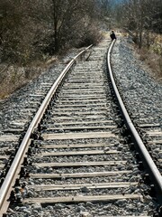 Fototapeta premium rails railway pijana pruga