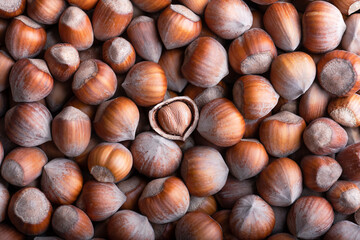 Hazelnut nuts heap with one broken nut close up. Food photography