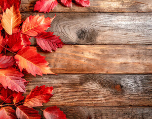 Autumn leaves on a rustic wooden background