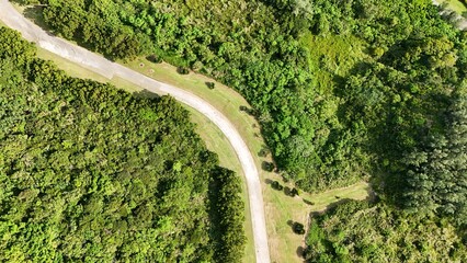 Bird eye view of curving road in a forest