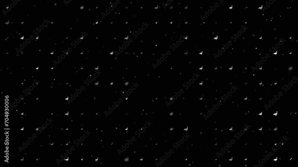 Poster template animation of evenly spaced goose symbols of different sizes and opacity. animation of trans