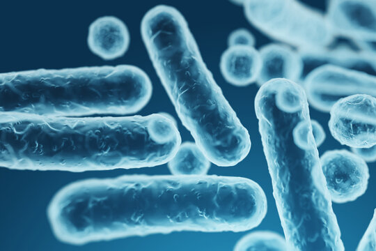 Enterobacteriaceae, gram-negative rod-shaped bacteria, part of intestinal microbiome and causative agents of different infections, 3D rendering. Escherichia coli, Klebsiella, Enterobacter and other