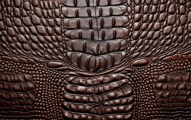 Gordijnen Crocodile Embossed Elegance texture. © Tayyab Imtiaz