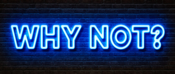 Neon sign on a brick wall - Why not