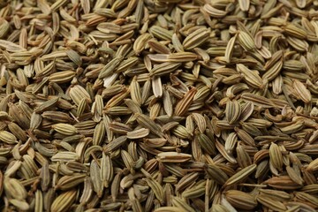 Many fennel seeds as background, closeup view