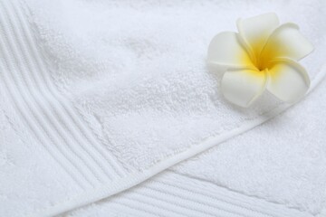 Obraz na płótnie Canvas Plumeria flower on white terry towel, closeup. Space for text