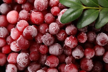 Frozen red cranberries and green leaves as background, top view