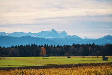 beautiful autumn view of Zugspitze, Germany's highest mountain from Raisting, Bavaria
