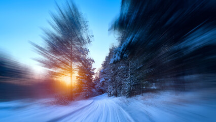 Winter morning in the forest. Shooting in motion.
