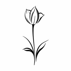 simple flower outline illustration