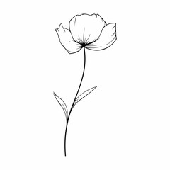 simple flower outline illustration