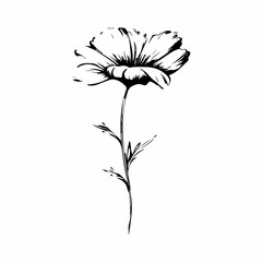 simple flower outline illustration