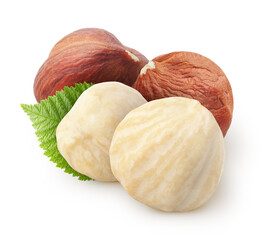 Isolated hazelnuts. Two raw and two peeled hazelnut isolated on white background