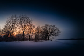 Winter morning in the forest. Winter landscape on the sunrise.