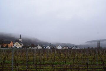 Ensch in Mosel valley with bold vineyards