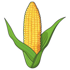 Sweet organic corncob, isolated on transparent background.