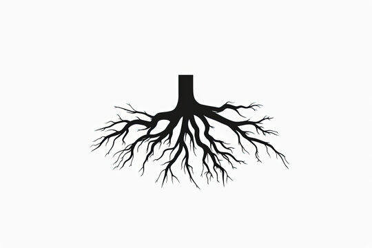Beautiful and stylish tree with roots logo.