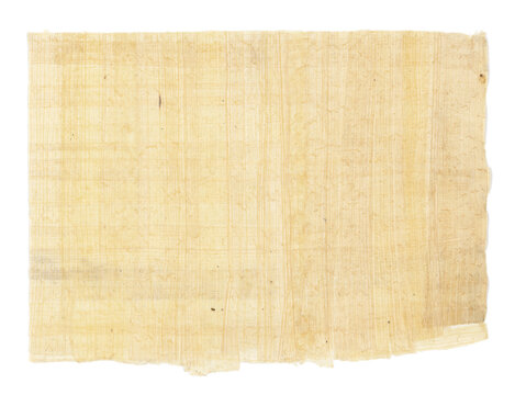 Horizontal handmade papyrus paper from Egypt, transparent background