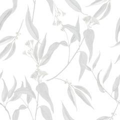 Eucalyptus leaves.Seamless pattern. Watercolor botanical illustration. - 704961637