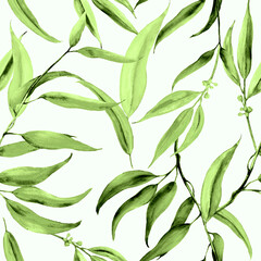 Eucalyptus leaves.Seamless pattern. Watercolor botanical illustration. - 704961694