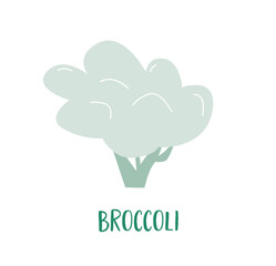 A hand drawn broccoli cabbage. Green vegetable for healthy vegan lifestyle. Go vegetarian. A simple flat illustration.