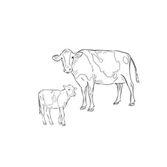 A line drawn illustration of a cow and calf. Each animal is an individual eps and can be used separately. Vectorised for a range of uses in a sketchy style.