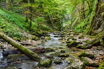 River flowing through the canyon - Romania landscape