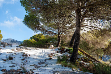 Sierra de Mijas cubierta por granizo