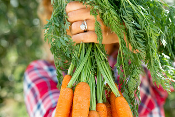 Woman holding and show a lot of orange natural carrots - nature and organic bio food healthy...