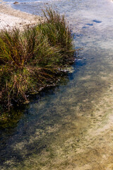 Costa en Cangas de Morrazo, Galicia.