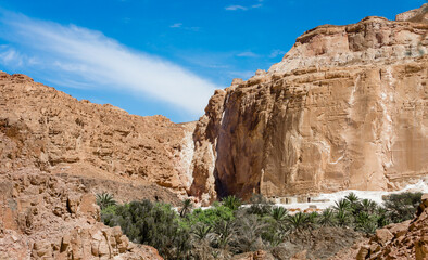 Fototapeta premium dwelling bedouin in an oasis in the desert among the mountains in Egypt Dahab South Sinai