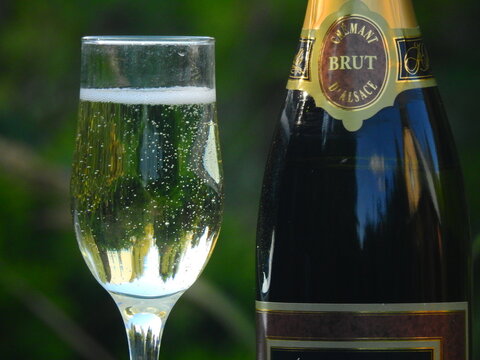 Generic French cremant d'alsace sparkling wine in garden in autumn - taldom, russia, 03 sept 2023
