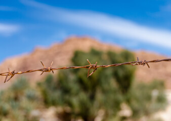 rusty barbed wire on a background of green plants and a blue sky with clouds