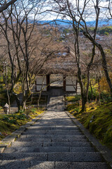 常寂光寺