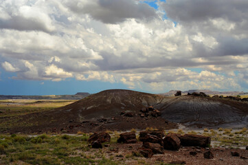 Rugged and Desolate Landscape Petrified Forest Arizona