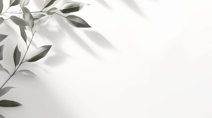 Minimal Abstract Background with Blurred Shadow from Leaves Plants on White Wall AI Generated