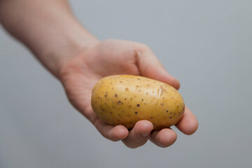 Potato Lover: Caucasian man Holding a Melody Potato