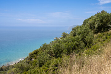 Fototapeta na wymiar Vegetation on a cliff above Ionian sea, Corfu, Greece