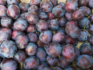 Plums in a box at the market