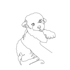 Cute poodle puppy in hands, dog, continuous line drawing, puppy head pet small mini tattoo, print for clothes, silhouette one single line on white background, isolated vector illustration.