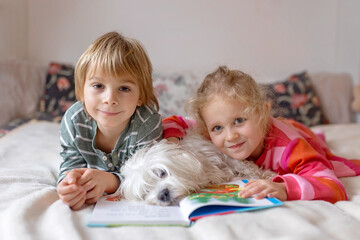 Two blond cute children, boy and girl, siblings and maltese dog, reading book together, joy and happiness