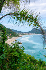 Fototapeta na wymiar The view extends between palm branches to a long sandy beach surrounded by green, densely vegetated mountains and turquoise sea. Solidão Beach, Florianópolis, Brazil