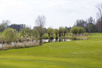 Fototapeta na wymiar Spring Landscape with several willows on a golf field, Issum, Germany