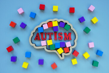 Brain outline, colored cubes and the inscription autism.