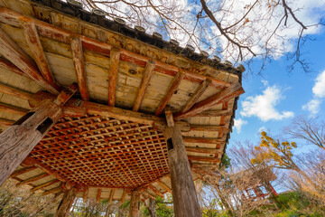 京都 平等院の風景